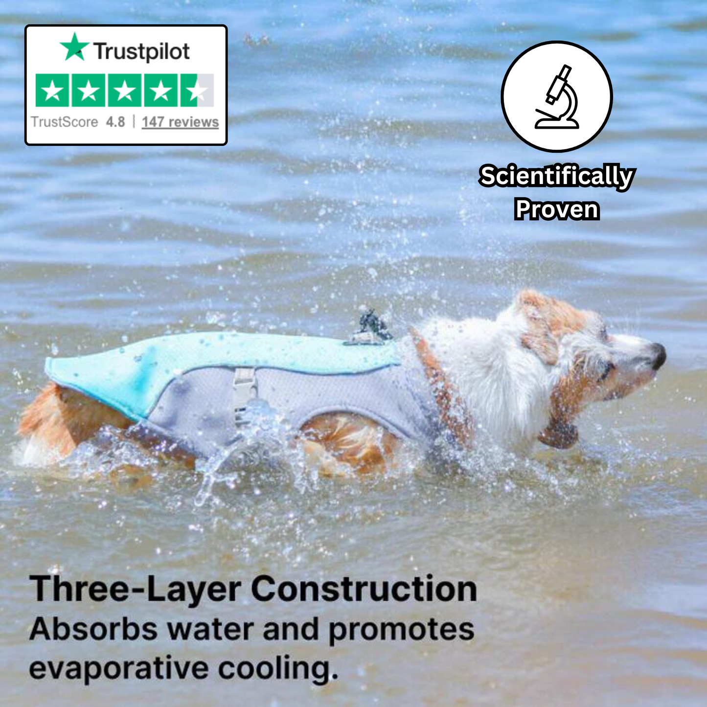 Evaporation-Layer Dog Cooling Vest