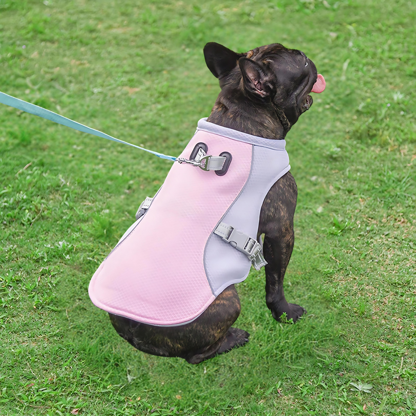 Evaporation-Layer Dog Cooling Vest